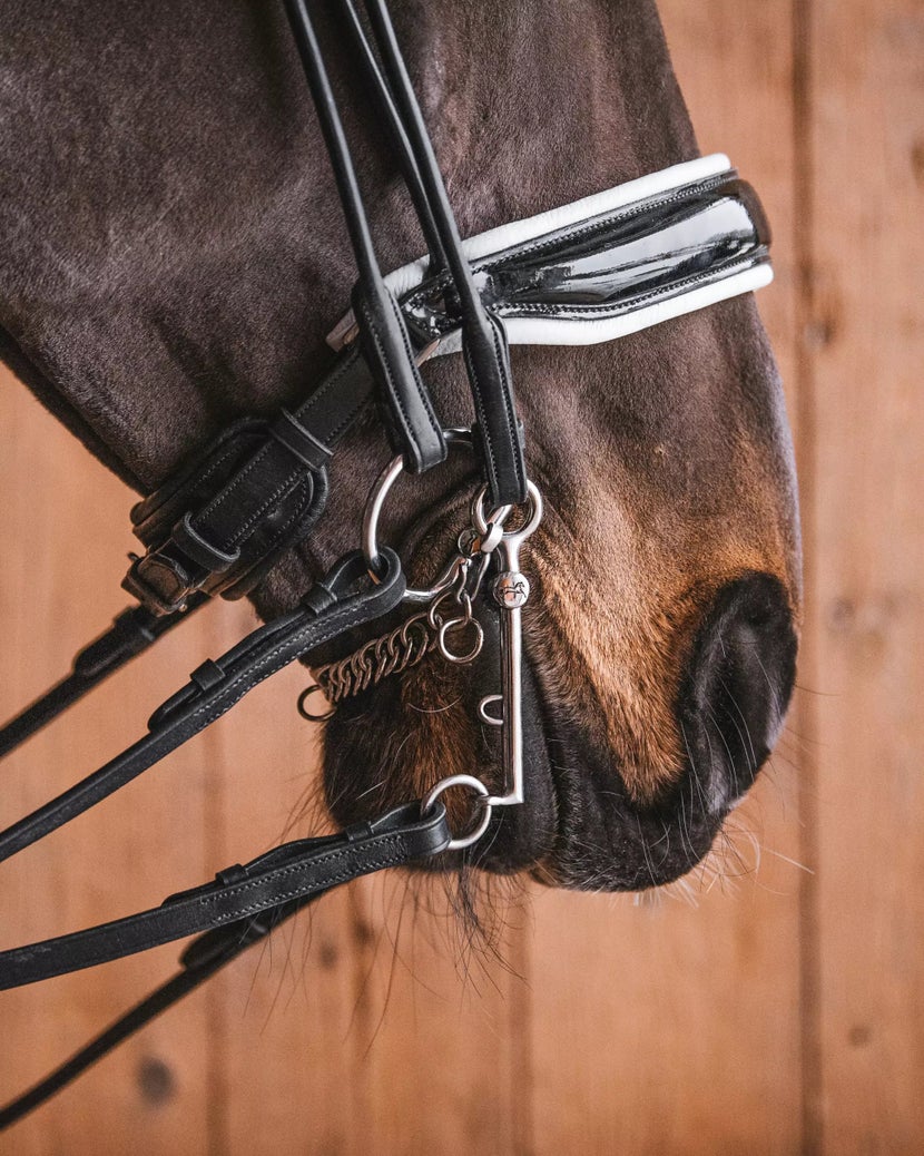 Double bridle with two Fager bits, a Bradoon and Weymouth. 